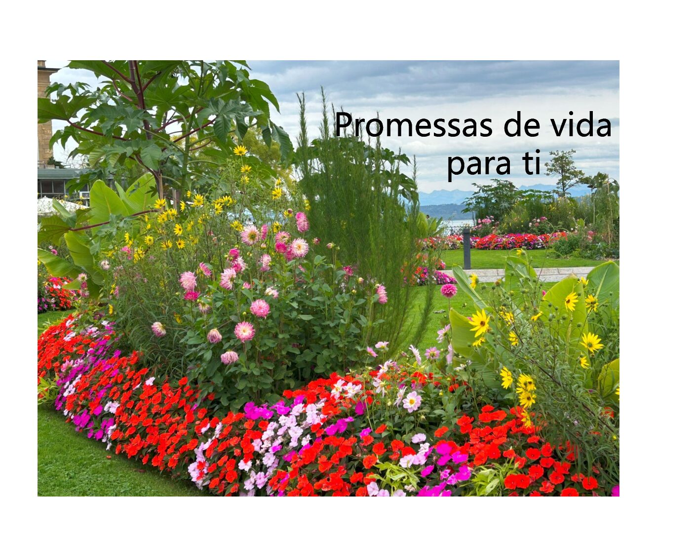Promessas de vida para ti